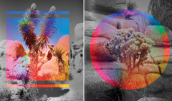 “Cẩm nang Gen AI” của Harvard: Chiến lược vẫn thắng tốc độ trong cuộc đua AI tạo sinh doanh nghiệp